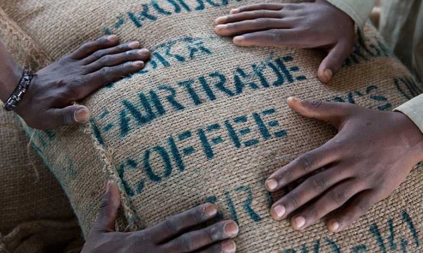 19198 Coffee Sack 800